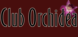 banner orchidea 5 november